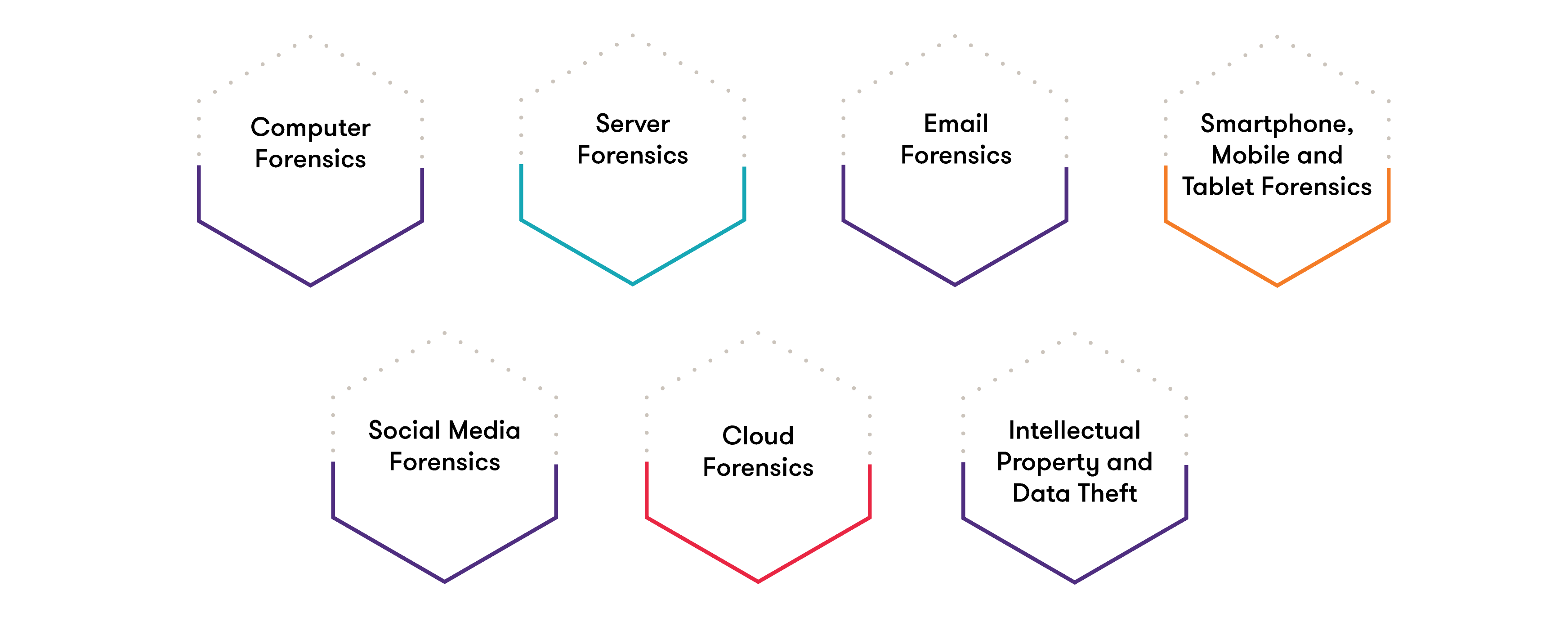 Forensic and Investigation Services webpage diagram-01-01.png